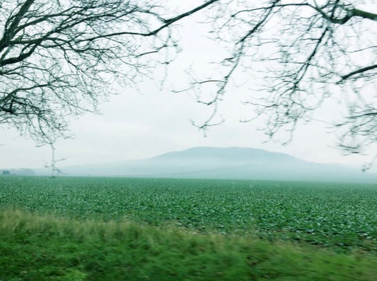 THE LIBRARY 20SS POP UP