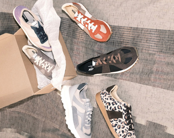 NOVESTA（ノヴェスタ） SOMBRELO 2025AW POP UP