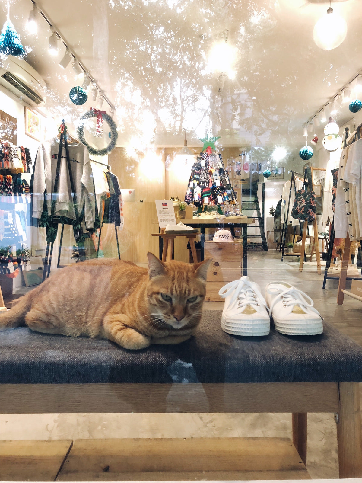 NOVESTA for Xmas at Goodluck Bunch, SINGAPORE アーカイブ画像 1