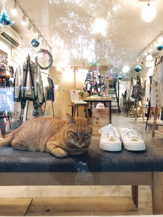 NOVESTA for Xmas at Goodluck Bunch, SINGAPORE アーカイブ画像 1